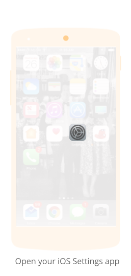 IOS App Installation